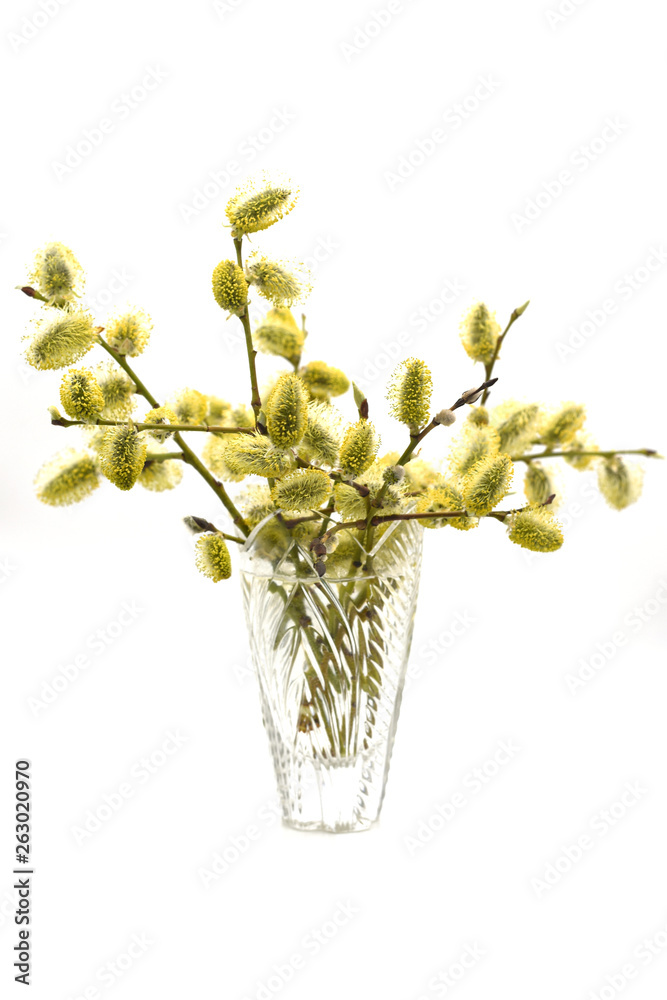 A willow bouquet in a crystal vase, white background