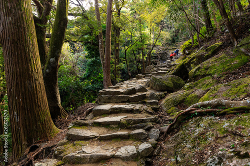 Pilgrimage to Japan shrine photo