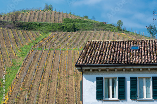 Vineyards of Oltrepo Pavese in April © Claudio Colombo