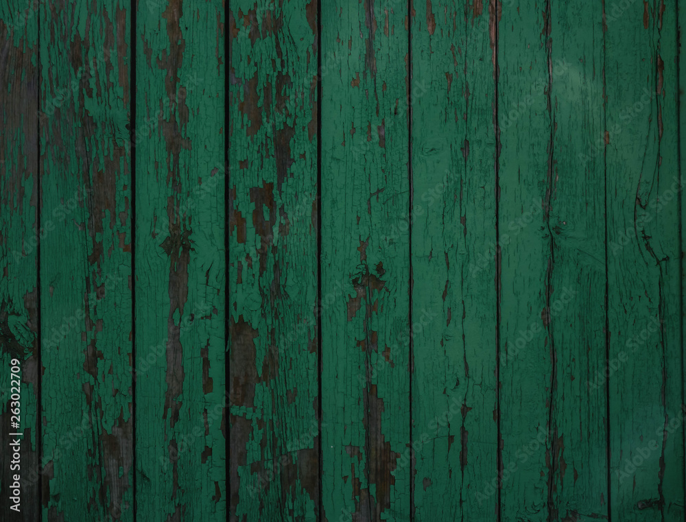 Obraz premium green wood texture from wide dry boards green background from old wood
