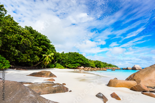 Fototapeta Naklejka Na Ścianę i Meble -  Paradise beach.White sand,turquoise water,palm trees at tropical beach,seychelles 41