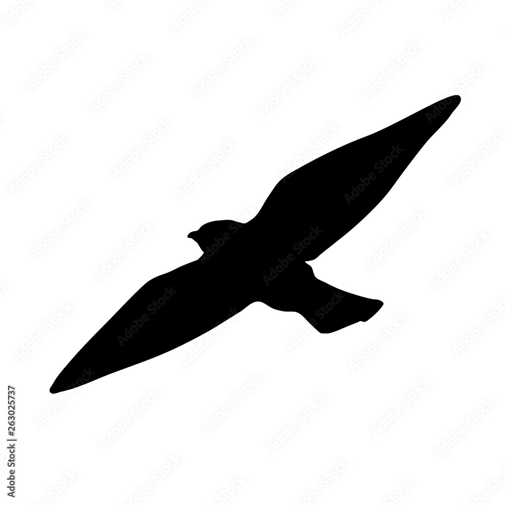Black bird icon on white background. Bird vector Black bird icon on white background. Bird vector
