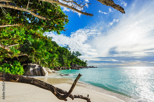 looking through branches at palms,rocks and turquoise water on tropical beach, seychelles