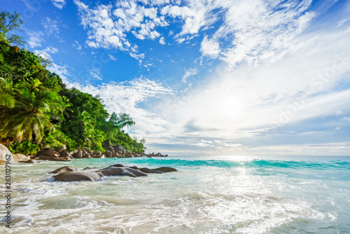 Paradise tropical beach with rocks,palm trees and turquoise water in sunshine, seychelles 21
