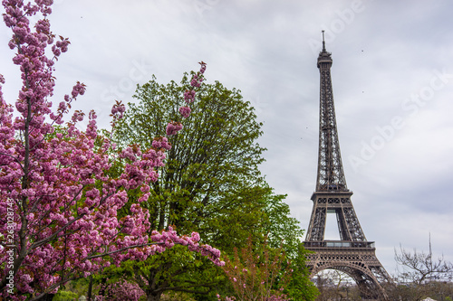 Fototapeta Naklejka Na Ścianę i Meble -  Paris, France, 2019: Eiffel Tower in sunny spring day in Paris, France