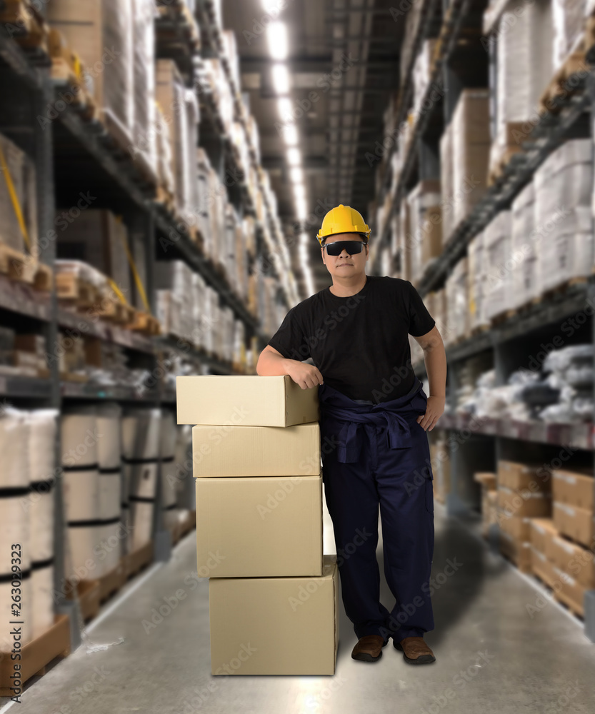 Worker in Mechanic Jumpsuit with holding parcel boxes