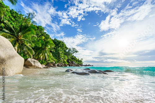 Paradise tropical beach with rocks,palm trees and turquoise water in sunshine, seychelles 38