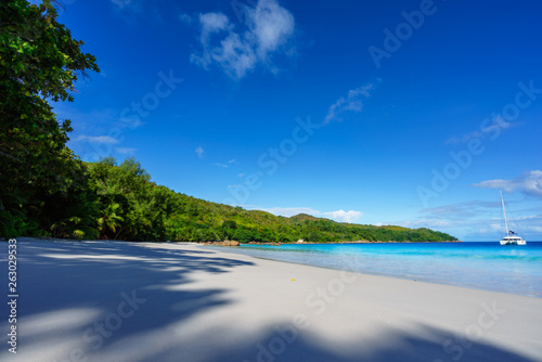 Paradise beach.White sand,turquoise water,palm trees at tropical beach,seychelles 10