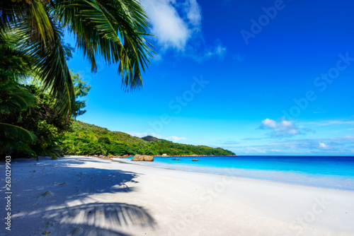 Fototapeta Naklejka Na Ścianę i Meble -  Paradise beach.White sand,turquoise water,palm trees at tropical beach,seychelles 16