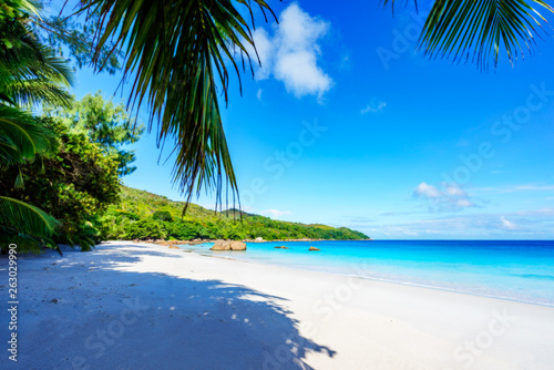 Paradise beach.White sand turquoise water palm trees at tropical beach seychelles 17