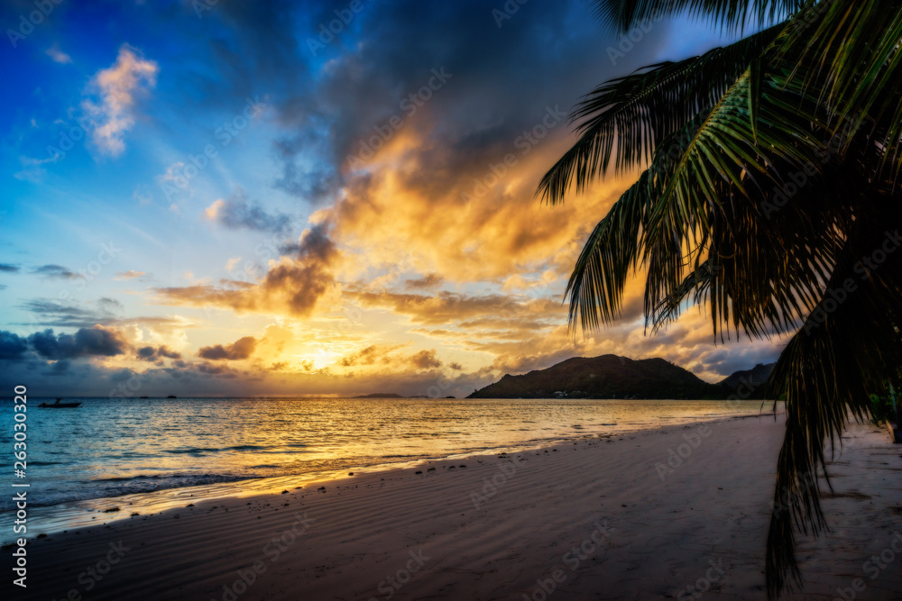 beautiful romantic sunset in paradise,palm, white sand and turquoise water,seychelles