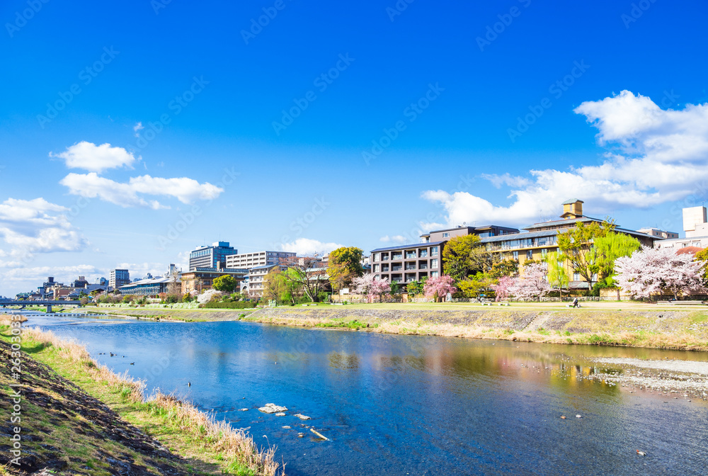 春の京都　鴨川（丸太町橋付近）