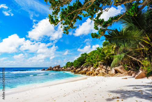 Fototapeta Naklejka Na Ścianę i Meble -  beautiful tropical beach with granite rocks,white sand,turquoise water,seychelles 10