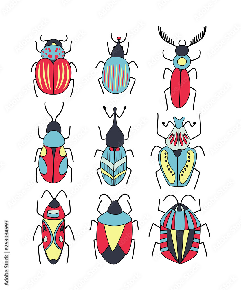 Fototapeta premium Cute vector set of different doodl bugs and beetles. Vector design insect collection