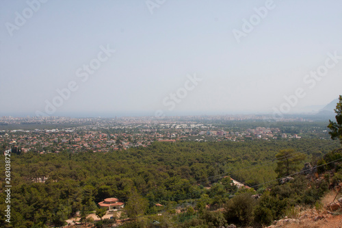 aerial view of the city