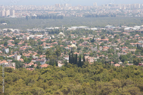 aerial view of the city