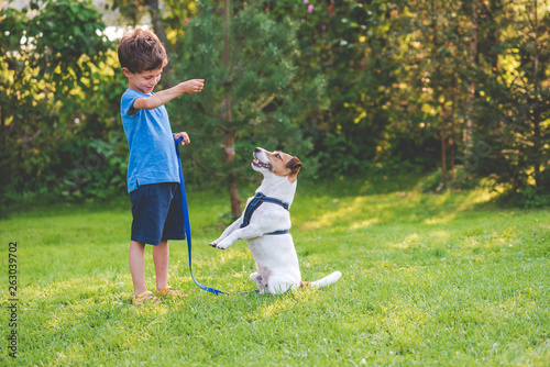 Preschooler kid boy doing dog obedience training classes with his pet
