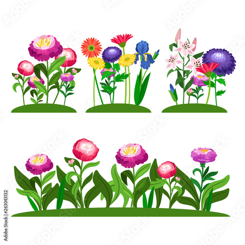 Garden flowers vector composition. Peony, lilly, daisy with green leaves. Illustration of colored flower in field