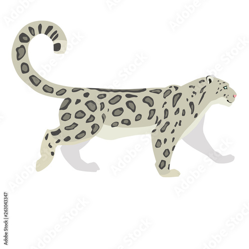 Vector illustration of walking snow leopard isolated on white background. 8 EPS