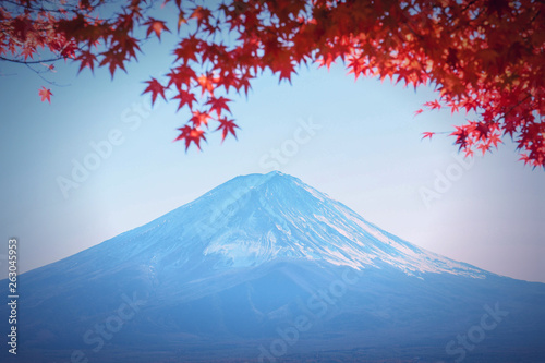 Autumn Season Fuji Mountain at Kawaguchiko lake, Japan.