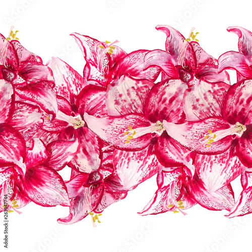 Watercolor flowers of amaryllis photo