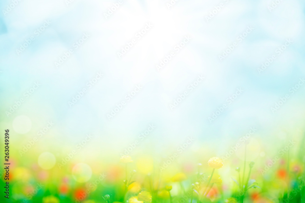 abstract background with green grass and flowers over sunny blue sky