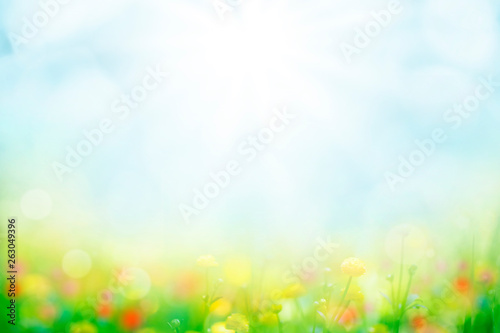 abstract background with green grass and flowers over sunny blue sky