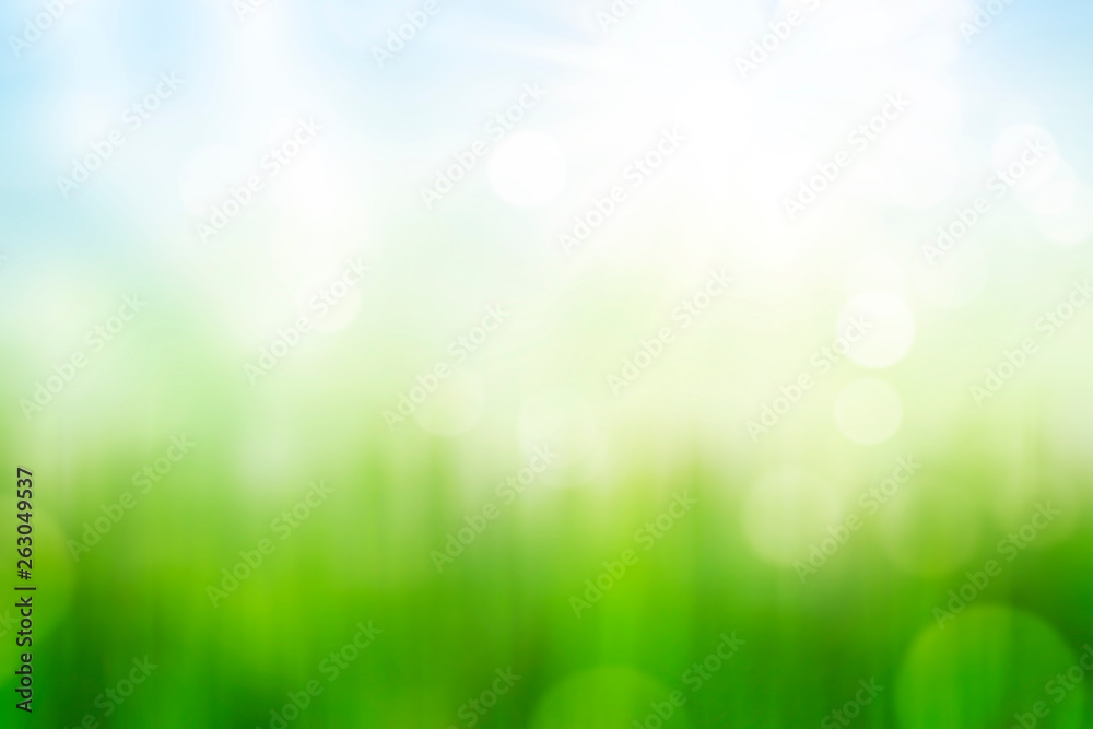 Obraz premium green grass and blue sky abstract background with bokeh, spring colors gradient