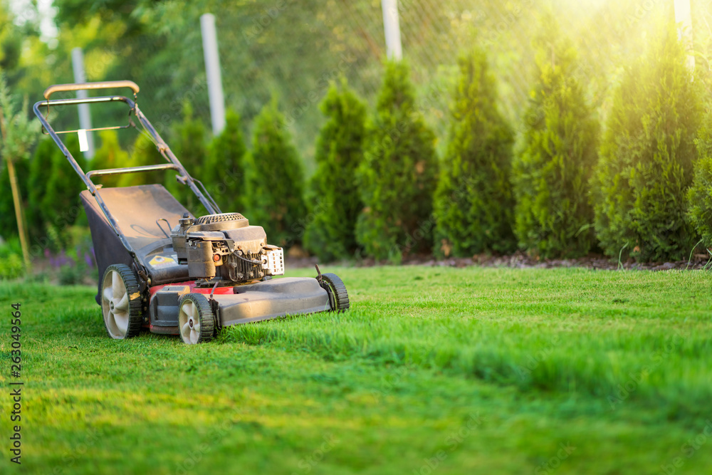 Fototapeta premium Lawn mower cutting green grass in sunlight