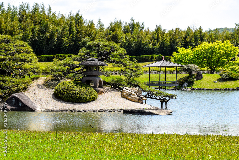 Fototapeta premium Japan garden 