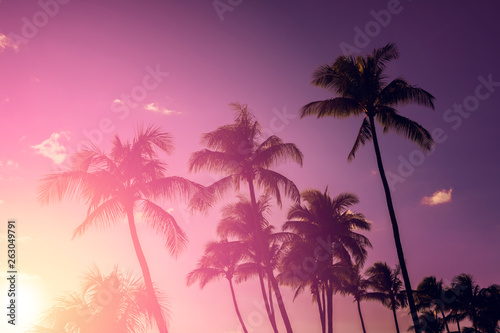 Fototapeta Naklejka Na Ścianę i Meble -  Palm tree silhouette on a background of tropical sunset