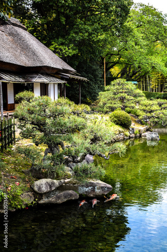 Japan garden 
