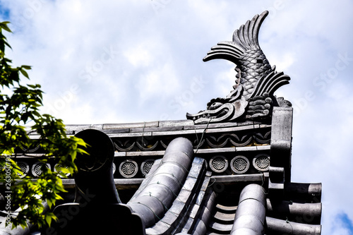 Castle and garden in japan