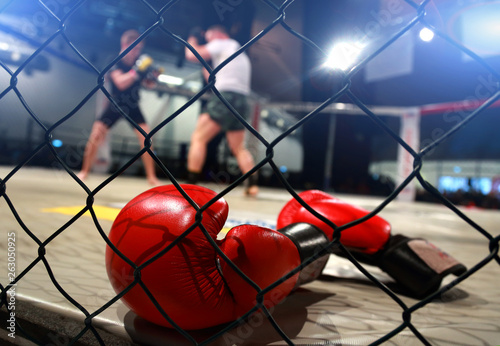 фотография MMA fight scene with boxing gloves in foreground