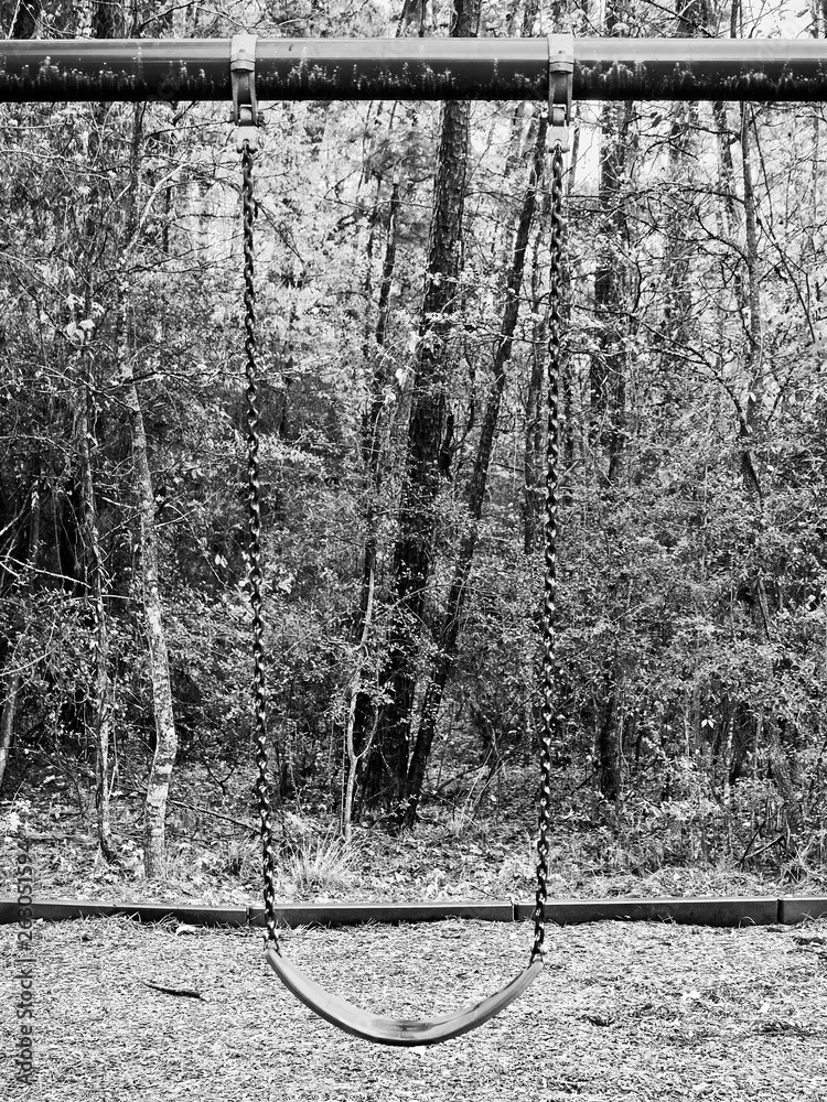 Green Swing in Park The Woodlands TX B&W