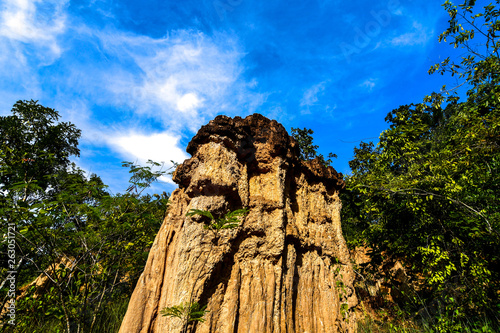  Mountain tree sky in Thailand  
