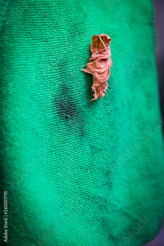 Fabric with green leaves attached Miyake. photo