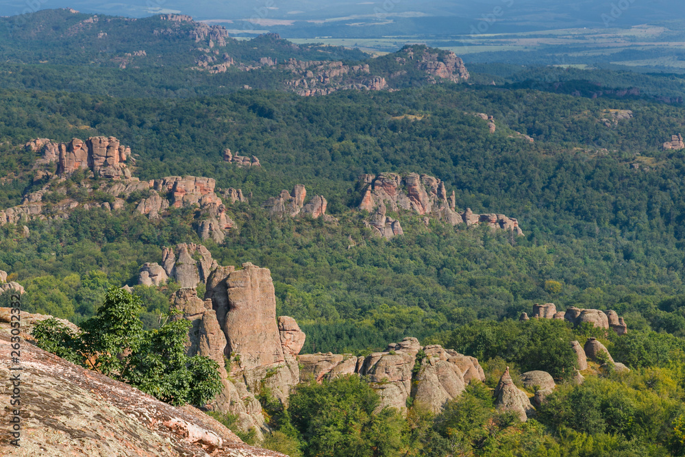 Belogradchik rocks during summer, with trees surrounding the stunning rock formations.