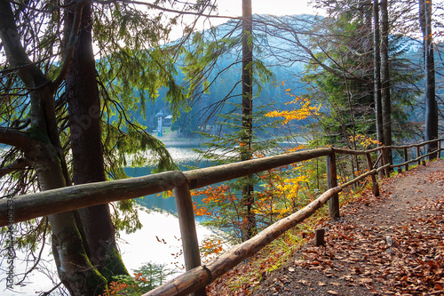 synevyr mountain lake in autumn evening. beautiful nature scenery of carpathian mountains. fallen foliage. wooden fence along the path around the body of water