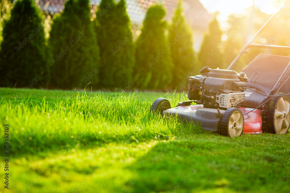 Lawn mower cutting green grass in sunlight - obrazy, fototapety, plakaty 