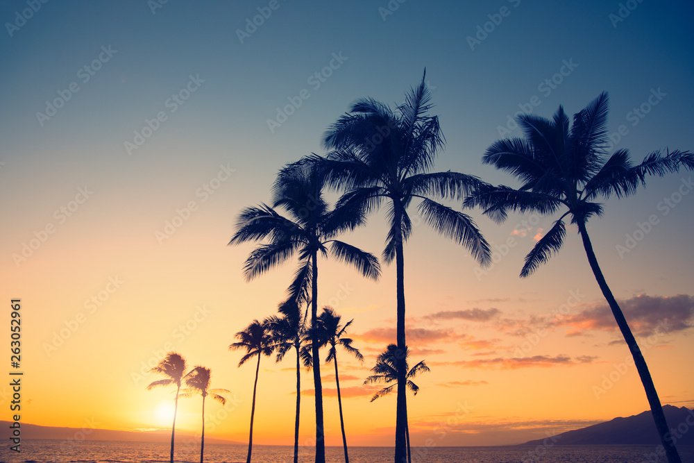 Palm tree silhouette on a background of tropical sunset