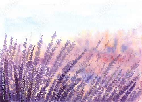 Lavender field watercolor painted on paper