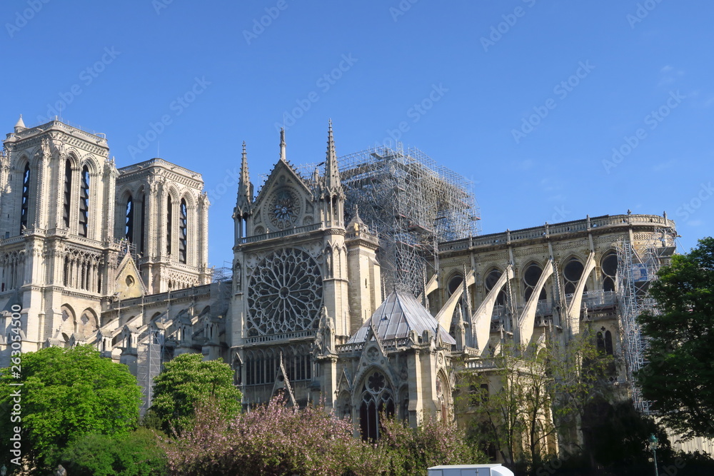 Notre Dame de Paris après l'incendie