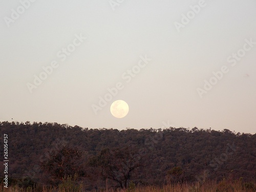 MOON IN BETWEEN CERRADO