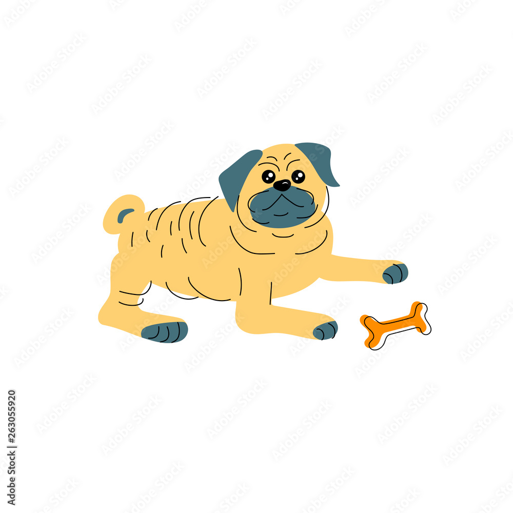 Fototapeta premium Vector illustration of pug dog in hand drawn sketch style. Flat and line design element isolated on white background.