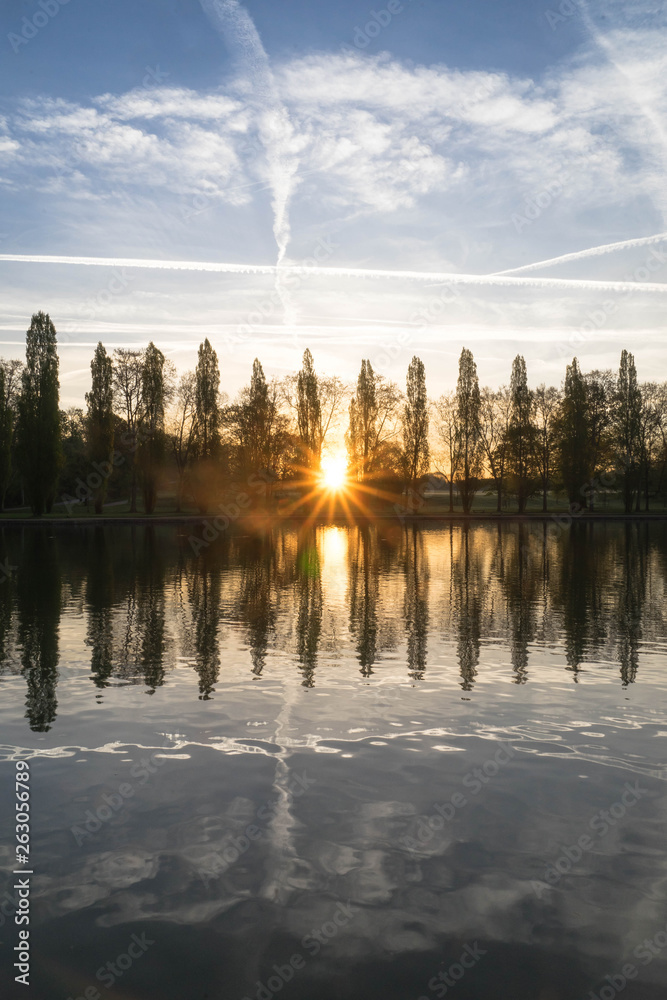 Obraz premium beautiful sunrise in a parc