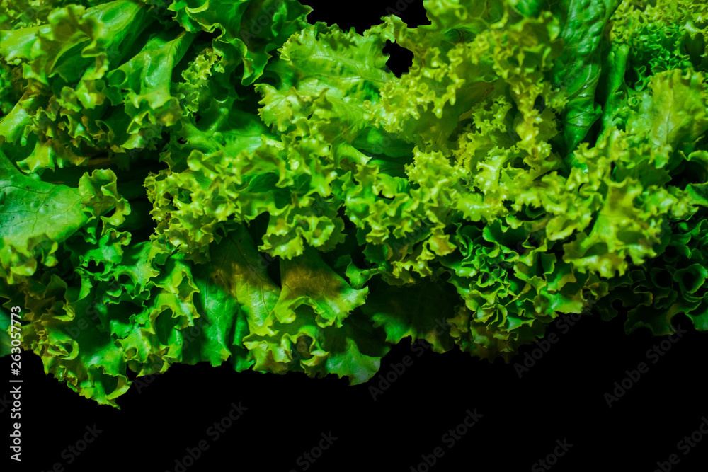 Fresh green salad isolated on black background