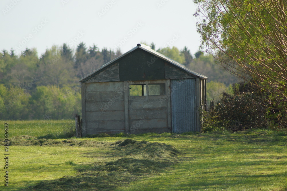 old shed in a field old shed in a field