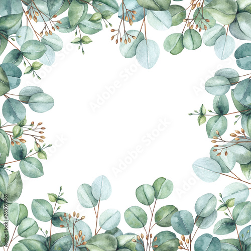 Frame made of leaves and branches of eucalyptus hand-drawn watercolor