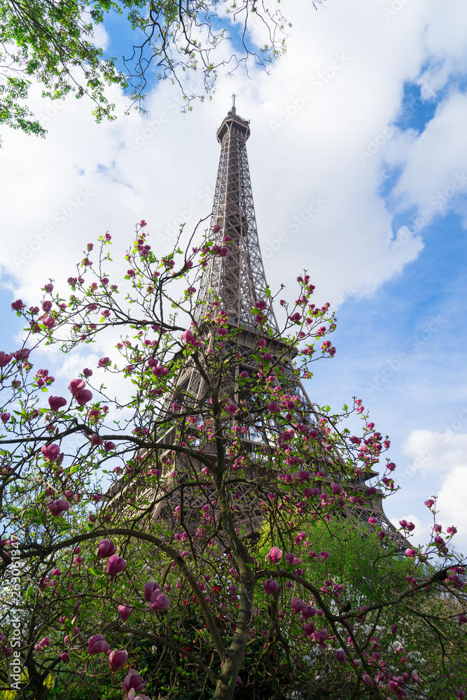 Eiffel tower in sring